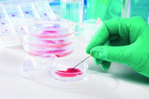 Acrylamide set to get closer attention